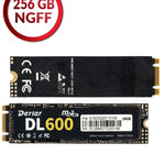 Derlar DL-600 NGFF M.2 2280 256GB SSD Solid State Drive