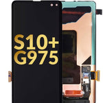 OLED Assembly without Frame for Galaxy S10 Plus G975 (Service Pack)