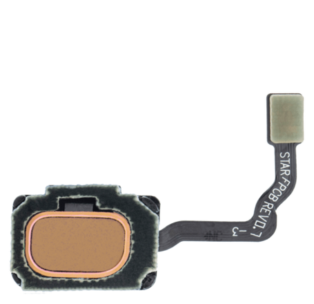 Galaxy S9+ / S9 Fingerprint Sensor w/ Flex Cable (GOLD)